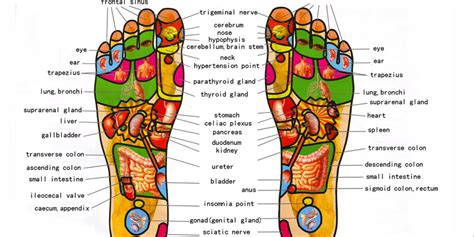 27 reviews of FuWa Foot Massage "Great place to go for a relaxing yet low priced massage. . Reflexology near me massage
